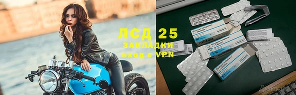 амф Алексин