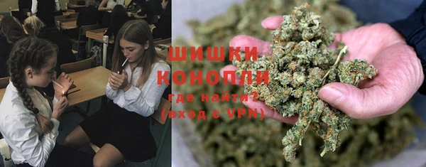 гидра Алексеевка